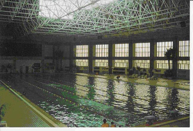 个旧游泳馆网架